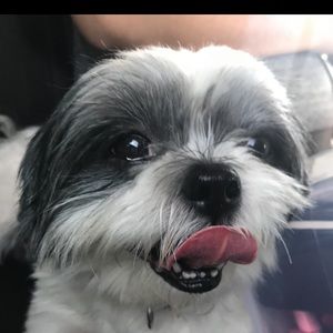 Meet your Posher, Catherine